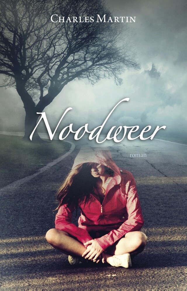 Book cover for Noodweer