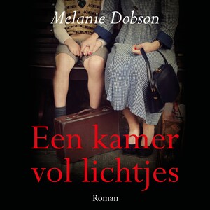 Een kamer vol lichtjes - luisterboek