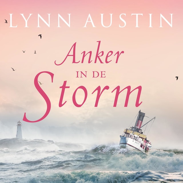 Book cover for Anker in de storm