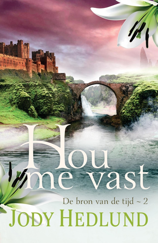 Book cover for Hou me vast