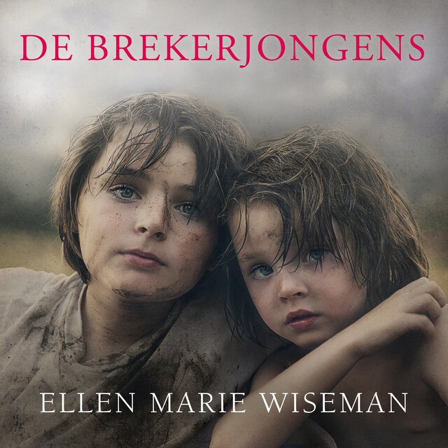 Book cover for De brekerjongens