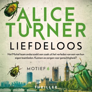 Liefdeloos - luisterboek
