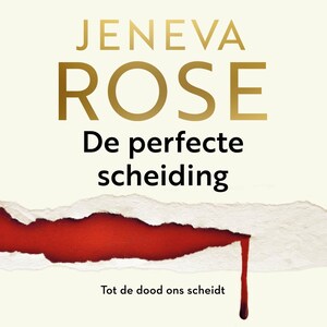 De perfecte scheiding - luisterboek