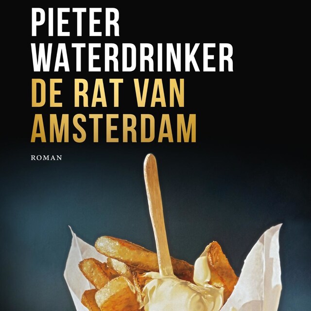 Buchcover für De rat van Amsterdam