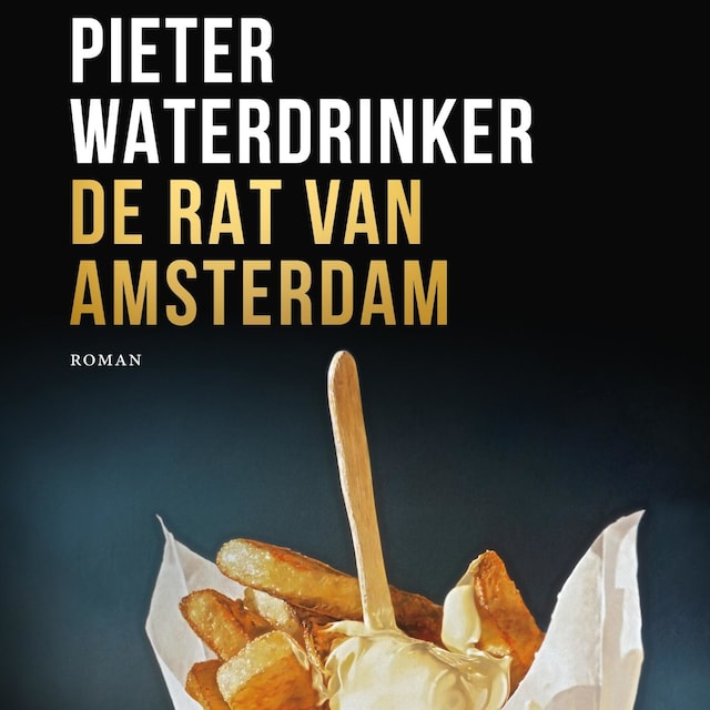 Couverture de livre pour De rat van Amsterdam