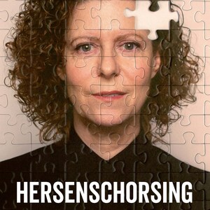 Hersenschorsing - luisterboek