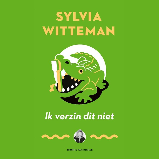 Copertina del libro per Ik verzin dit niet