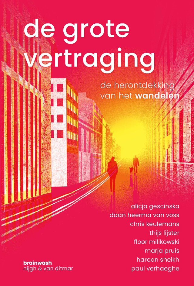 Buchcover für De grote vertraging