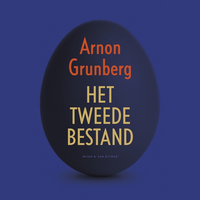 Book cover for Het tweede bestand