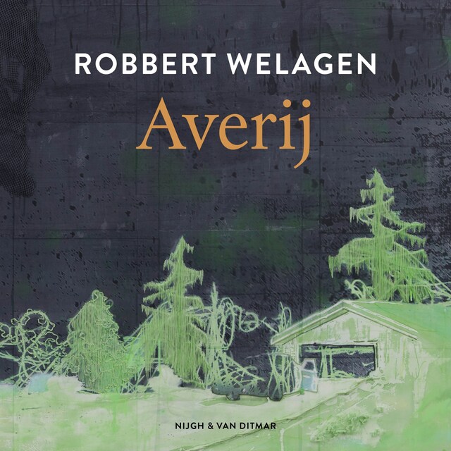 Book cover for Averij