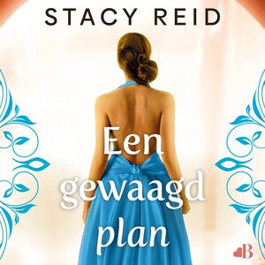 Een gewaagd plan - luisterboek