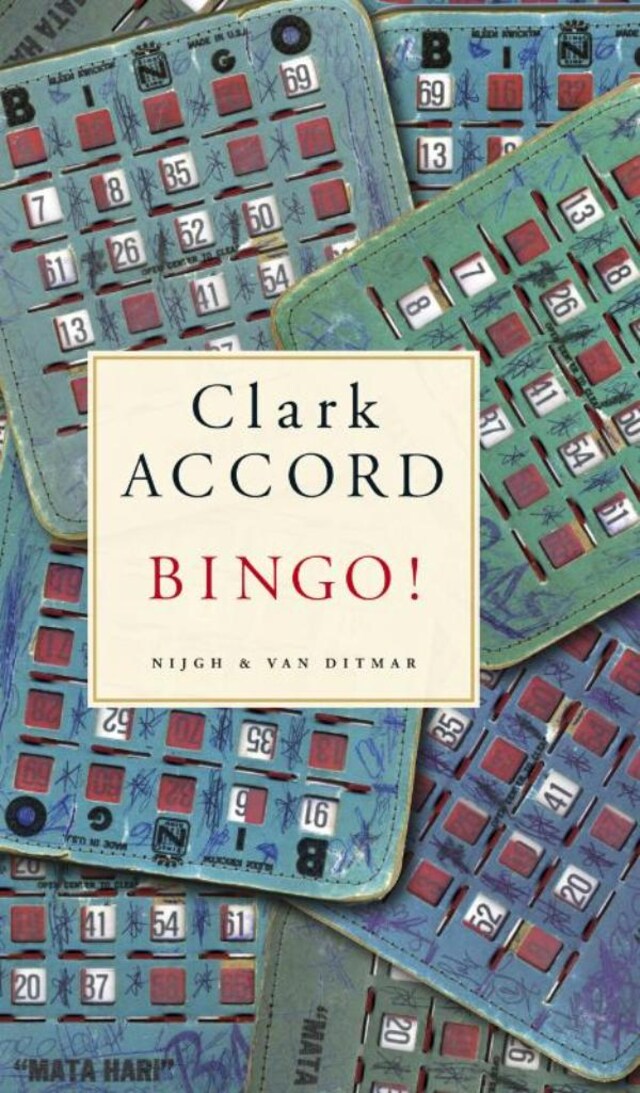 Book cover for Bingo!