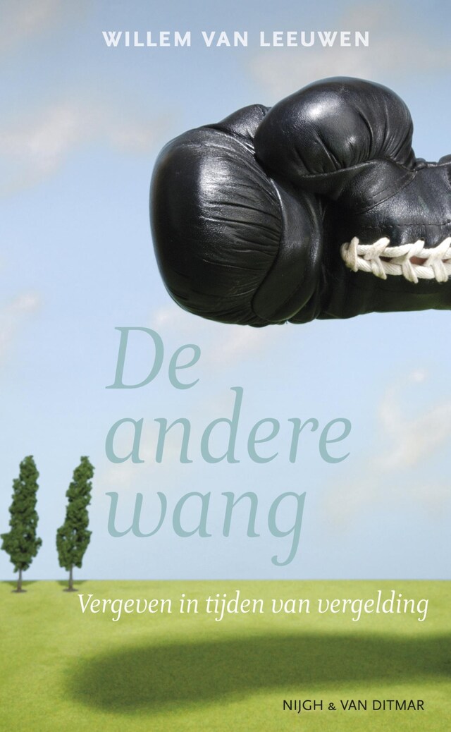 Buchcover für De andere wang