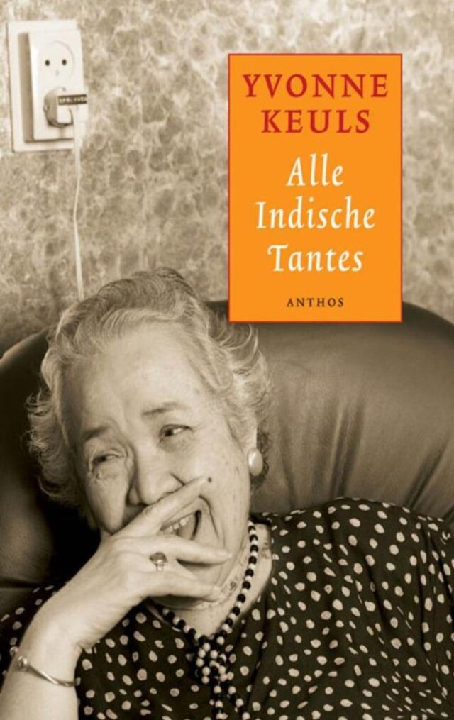 Copertina del libro per Alle Indische tantes