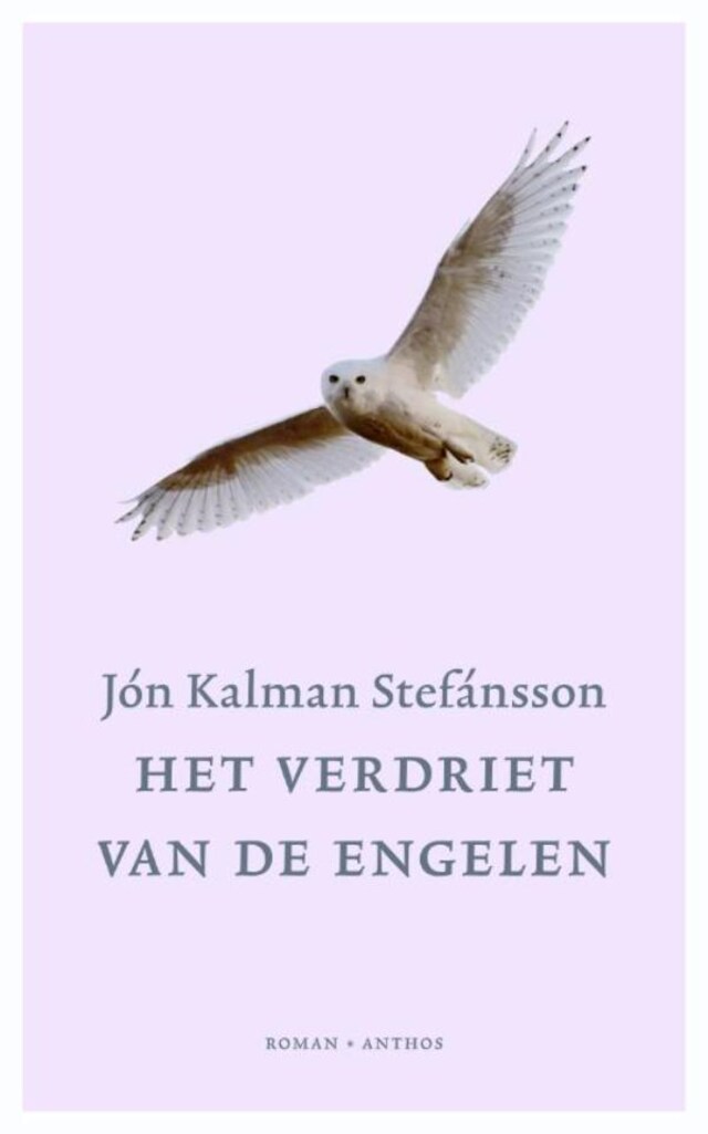 Couverture de livre pour Verdriet van de engelen