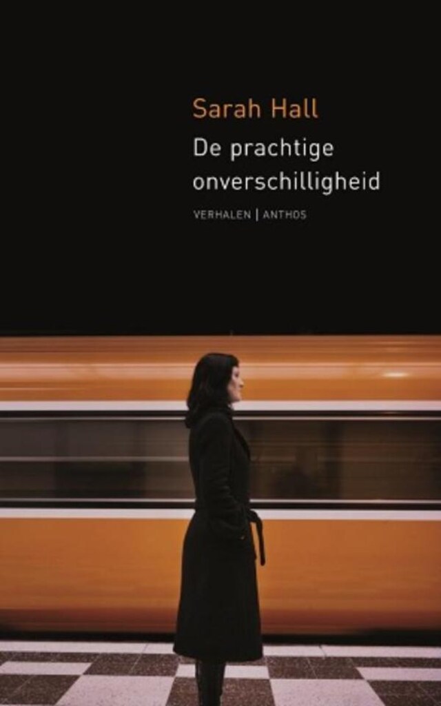 Book cover for De prachtige onverschilligheid