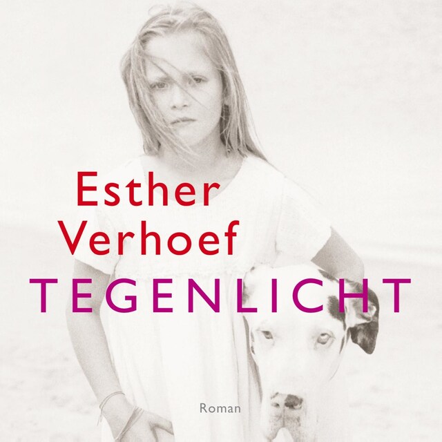 Buchcover für Tegenlicht