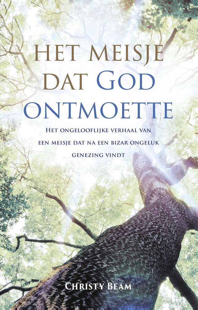 Boekomslag van Het meisje dat God ontmoette