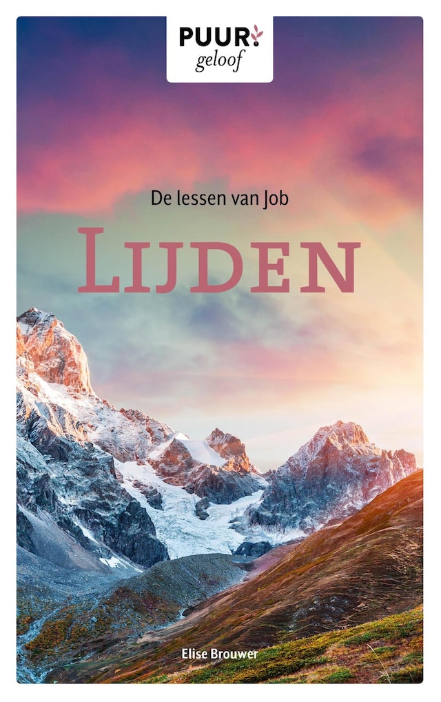 Book cover for De lessen van Job