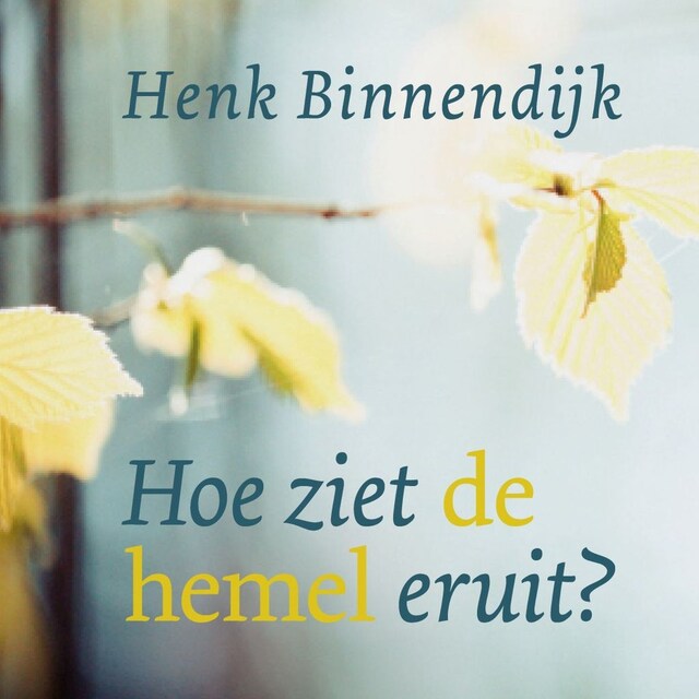 Book cover for Hoe ziet de hemel eruit?