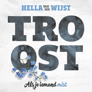 Troost - luisterboek