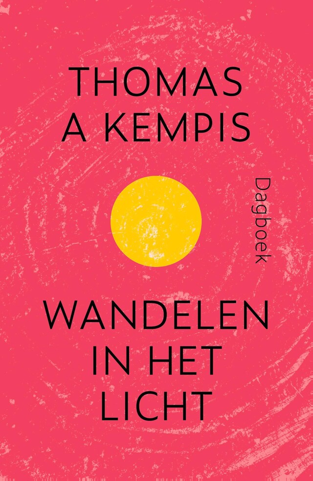 Book cover for Wandelen in het licht