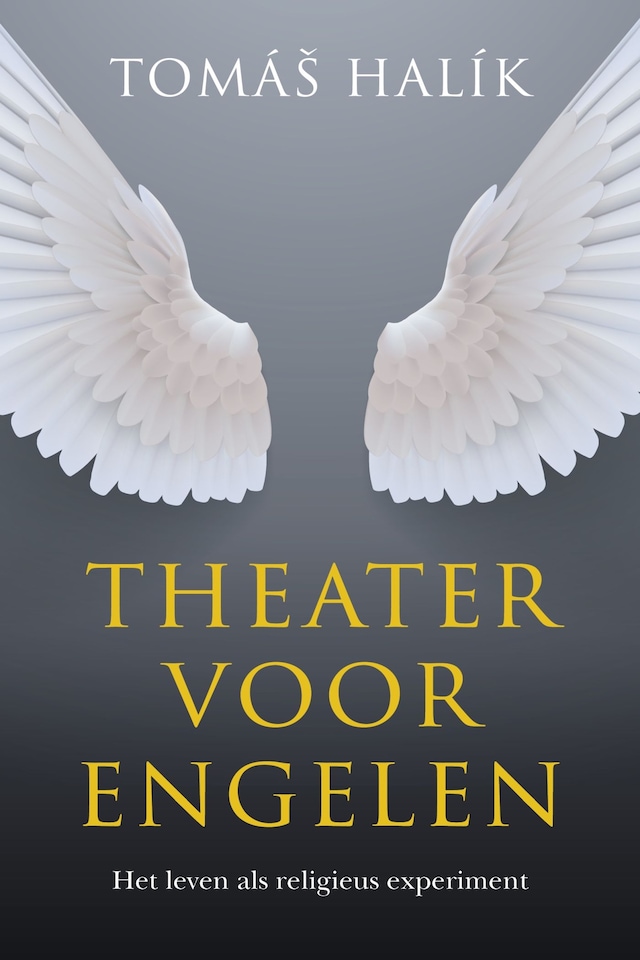 Book cover for Theater voor engelen