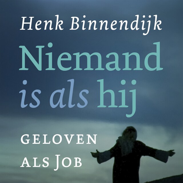 Book cover for Niemand is als hij