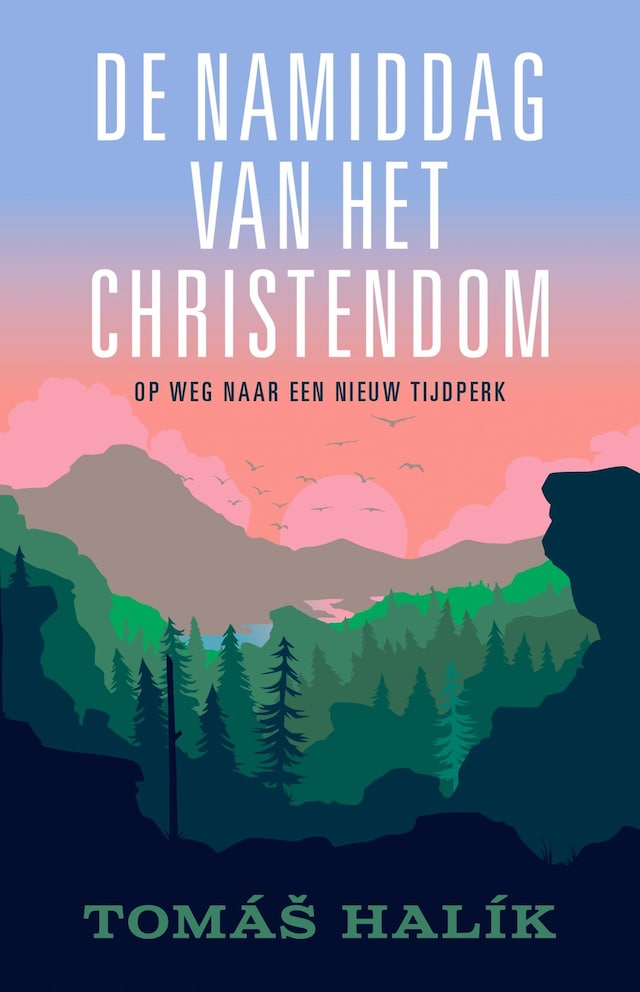 Book cover for De namiddag van het christendom