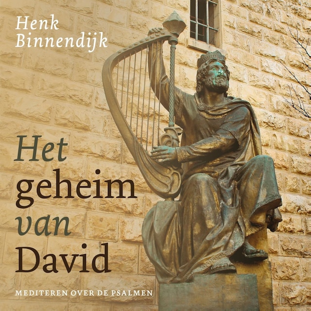 Book cover for Het geheim van David