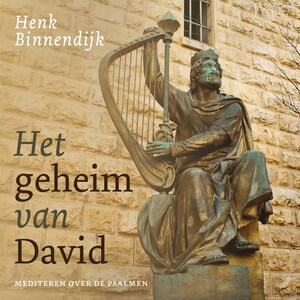 Het geheim van David - luisterboek