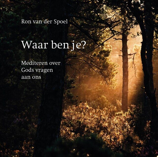 Couverture de livre pour Waar ben je?