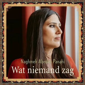 Wat niemand zag - luisterboek