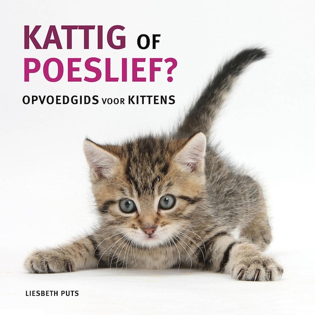 Book cover for Kattig of poeslief