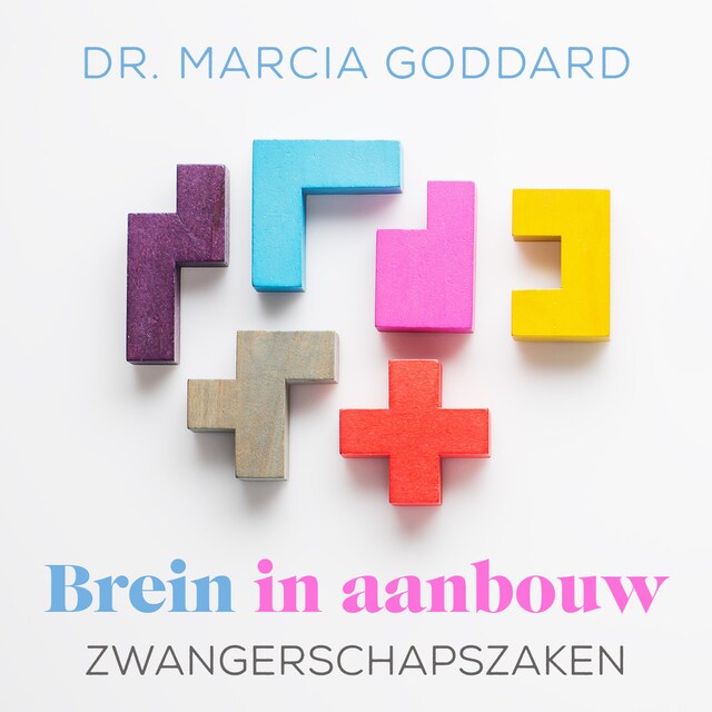 Copertina del libro per Zwangerschapszaken