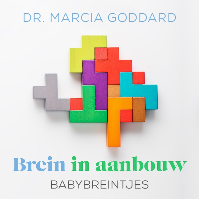 Book cover for Babybreintjes