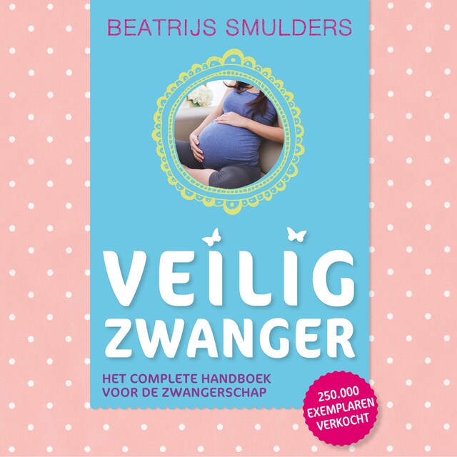Book cover for Veilig zwanger
