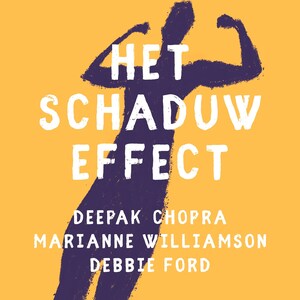 Het schaduw effect - luisterboek