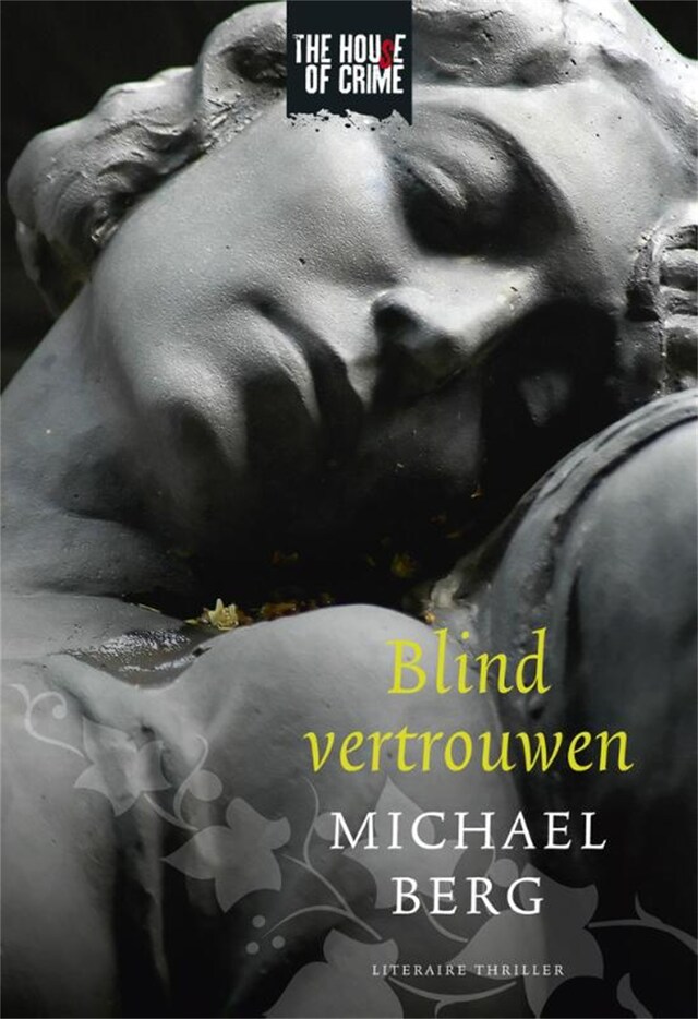 Book cover for Blind vertrouwen