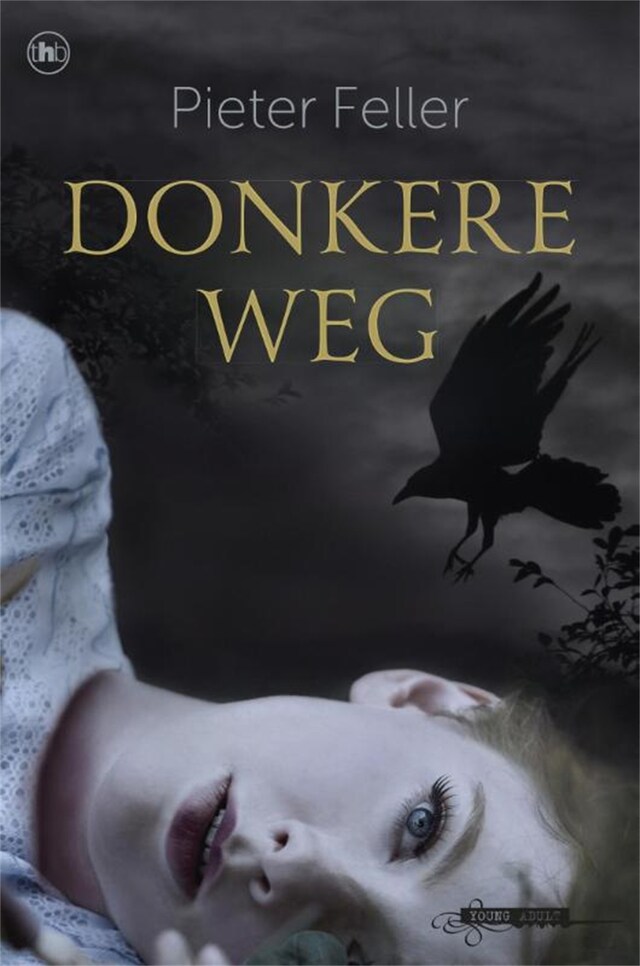 Book cover for Donkere weg