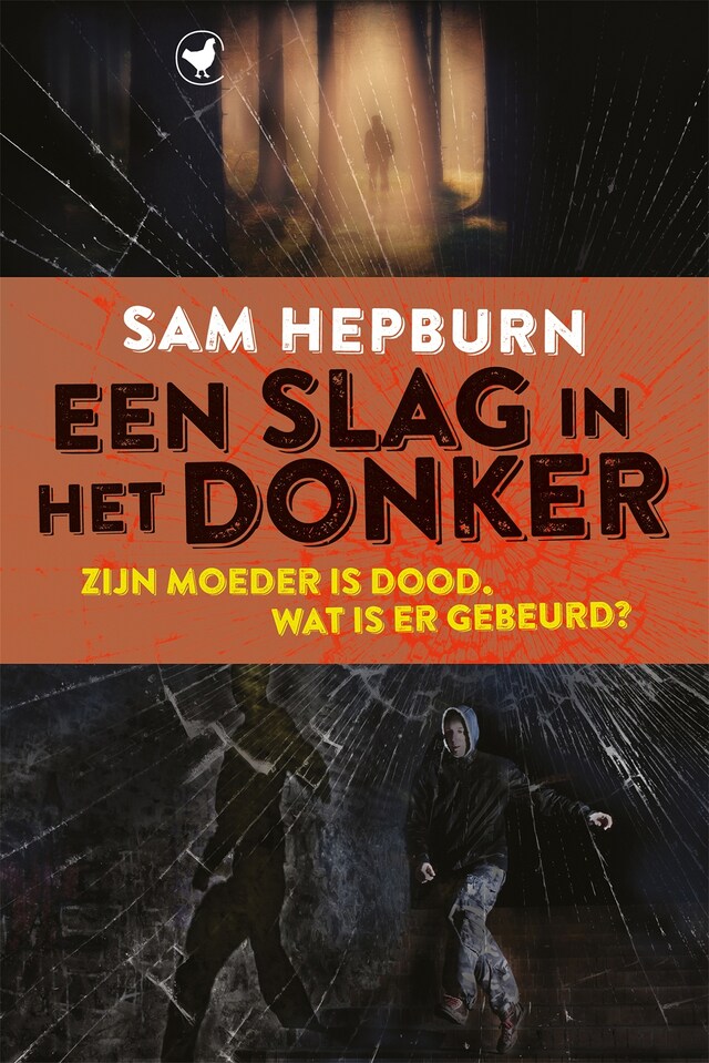 Portada de libro para Een slag in het donker