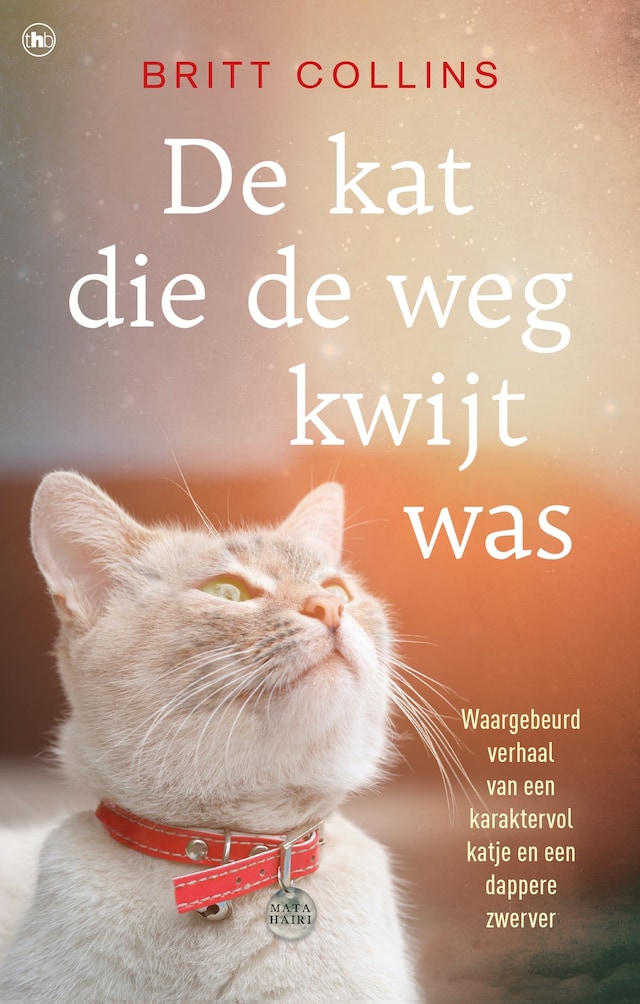 Buchcover für De kat die de weg kwijt was