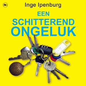 Een schitterend ongeluk - luisterboek
