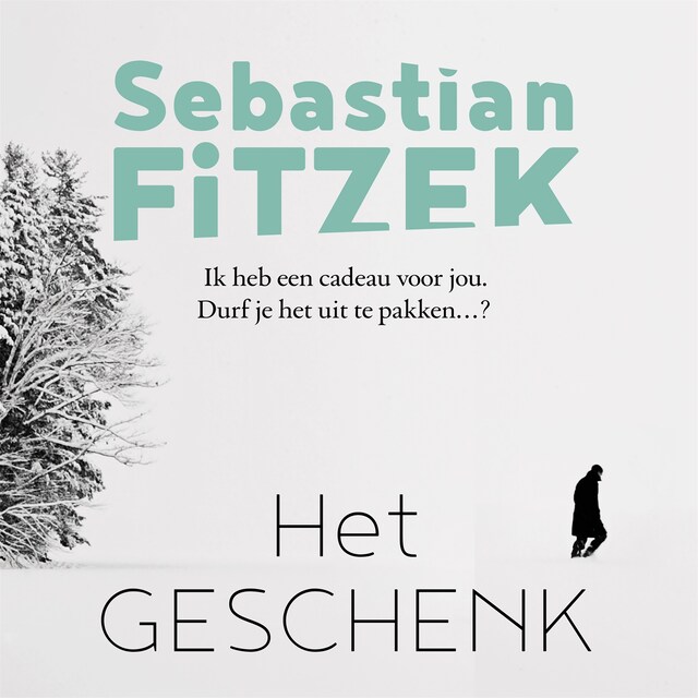 Book cover for Het geschenk