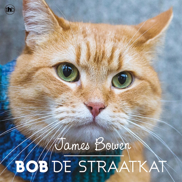 Book cover for Bob de straatkat