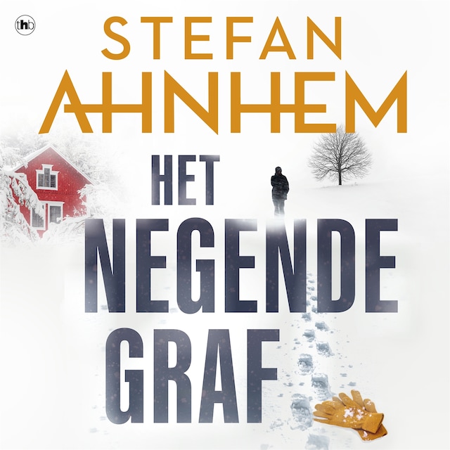 Book cover for Het negende graf