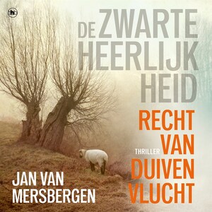 Recht van duivenvlucht - luisterboek