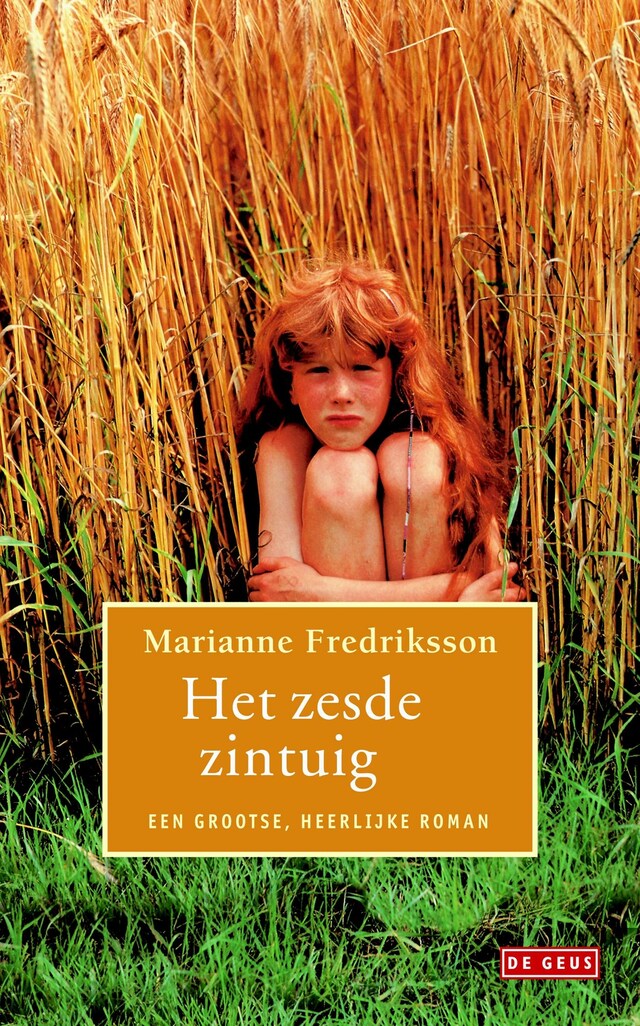 Buchcover für Het zesde zintuig