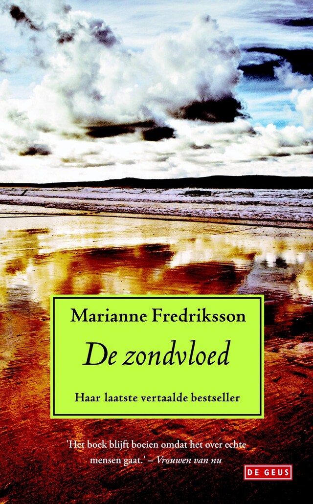 Book cover for De zondvloed