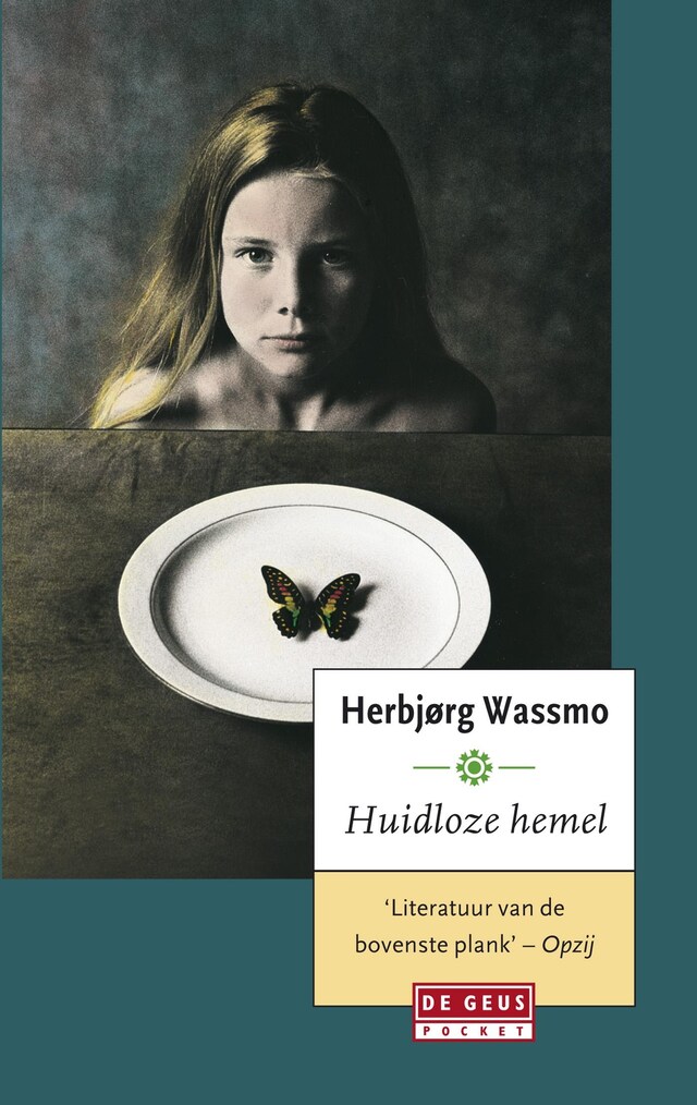 Book cover for Huidloze hemel